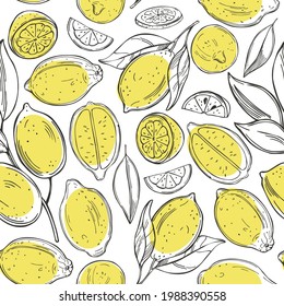 Hand drawn lemon fruits on white background.Vector  seamless pattern.