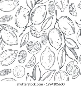 Hand drawn lemon fruits on white background.Vector  seamless pattern.