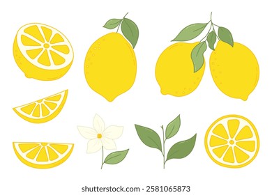 Hand Drawn Lemon Fruits Set. Fresh lemons, whole lemon fruits, flower, leaf, lemon slices and half cut lemon, chopped lemons. Cartoon lemons collection for lemonade, juice, vitamin products.