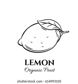 Hand drawn lemon icon. Vector badge fruit in the old ink style for brochures, banner, restaurant menu and market