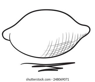 Hand drawn lemon illustration