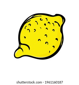 Hand drawn lemon illustration isolated on white background.