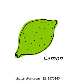 Hand drawn lemon isolated on white background. vector illustration.