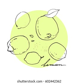 Hand drawn lemon, leaf and lemon seed.
