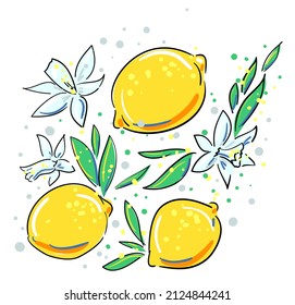 Hand drawn lemon with leaves. Sketch citrus. Vector illustration.