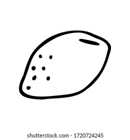 Hand drawn lemon on a white isolated background. Doodle, simple outline illustration. It can be used for decoration of textile, paper and other surfaces.
