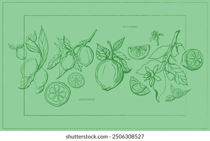 Handgezeichnetes Zitronensatz auf gelbem Hintergrund. Umreißen Sie ganze Zitrusfrüchte mit Schale und natürlichen Früchten in verschiedene Stücke und kreisförmige Scheiben, Zweig der Blüte und Blätter. Vintage Postkarte mit Zitronen.