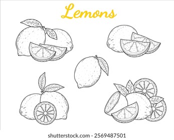 Hand Drawn Lemon Sketch Collection: Whole Fruits, Slices, and Leaves Isolated on White Background. Citrus Vector Illustration Set for Vegan Cuisine and Design Projects.