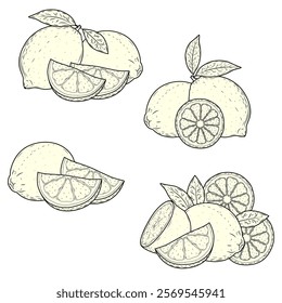 Hand Drawn Lemon Sketch Collection: Whole Fruits, Slices, and Leaves Isolated on White Background. Citrus Vector Illustration Set for Vegan Cuisine and Design Projects.