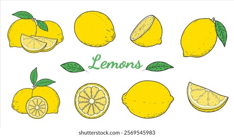 Hand Drawn Lemon Sketch Collection: Whole Fruits, Slices, and Leaves Isolated on White Background. Citrus Vector Illustration Set for Vegan Cuisine and Design Projects.