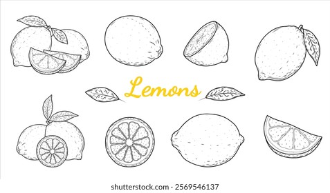 Hand Drawn Lemon Sketch Collection: Whole Fruits, Slices, and Leaves Isolated on White Background. Citrus Vector Illustration Set for Vegan Cuisine and Design Projects.