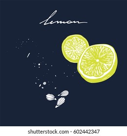 Hand drawn lemon slice and lemon seed.