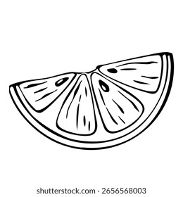 Fatia De Limão Desenhada À Mão Estilizada Ilustração Em Preto E Branco. Citrinos Orgânicos Tropicais Suculentos