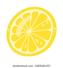 Hand drawn lemon slice. Vector illustration of cut tasty citrus, healthy food, summer fresh fruit