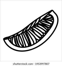 Hand drawn  of lemon, slices of lemon. Vector illustration, isolated sketches, linear graphic design. Black and white image of fruit. Stock illustration.