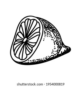 Hand drawn  of lemon, slices of lemon. Vector illustration, isolated sketches, linear graphic design. Black and white image of fruit. Stock illustration.