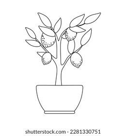Hand drawn Lemon tree houseplant in a pot. Indoor plant Lemon tree in potted Sketch. Outline room plant, Linear vector illustration