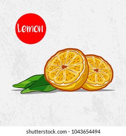 Hand Drawn Lemon Vector Drawing
