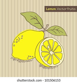 Hand Drawn Lemon. Vector Illustration