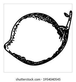 Von der Hand gezeichnet. Vektorgrafik, einzelne Skizzen, lineares Grafikdesign. Schwarz-Weiß-Bild von Obst. Stockillustration.