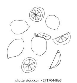 Hand drawn lemon vector illustration set in a playful, minimal style. Collection of whole lemons, lemon slices, halves, outlines, and leaves in bright yellow colors.