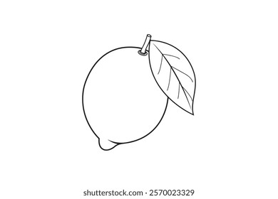 Hand drawn lemon,Line style vector illustration