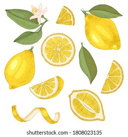 Hand drawn lemons collection - fruits, slices, half of lemon, lemon peel and leaves. Hand drawn vector illustration.