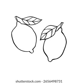 Dibujado a mano limones línea arte. estilo Doodle. Ilustración de Plantilla de Vector