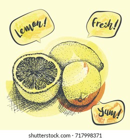 Hand drawn lemons on watercolor yellow spots, sketch, vector illustration
