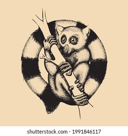 Hand Drawn Lemur Illustration Design