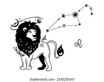 Hand drawn Leo or Lion zodiac sign isolated clipart, unique astrology symbols and constellation, mystical horoscope sign in black silhouette, modern vector