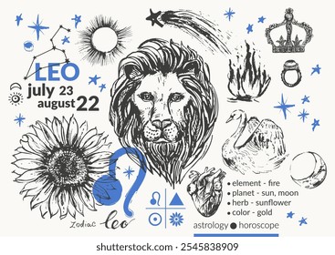 Hand drawn leo zodiac sign illustration, horoscope background with astrology symbols and talismans. Zodiac wheel, planets, sun, moon, star constellations.