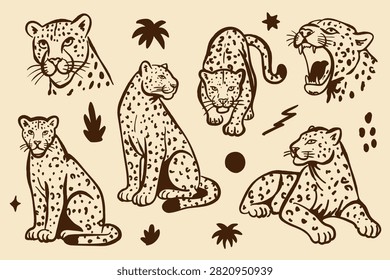 Hand drawn leopard set in doodle style. Collection of wild animal poses and elements. Minimal vector illustration with decorative shapes on beige background.