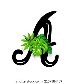 Hand drawn letter A with tropical leaves  isolated on white background. Vector illustration.