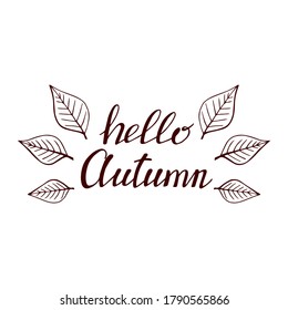 Hand drawn lettering with decorative elements, autumn leaves. Text "Hello autumn" on the white background. Vector illustration. Perfect for prints, flyers, banners, invitations