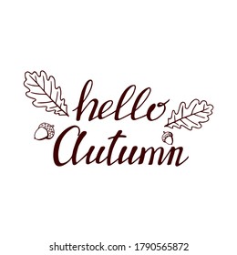 Hand drawn lettering with decorative elements, autumn leaves. Text "Hello autumn" on the white background. Vector illustration. Perfect for prints, flyers, banners, invitations
