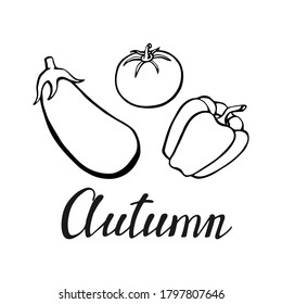 Grabado a mano con elementos decorativos, tomate, pimienta, berenjena. Texto "Otoño" sobre el fondo blanco. Ilustración vectorial. Perfecto para impresiones, volantes, banners, invitaciones