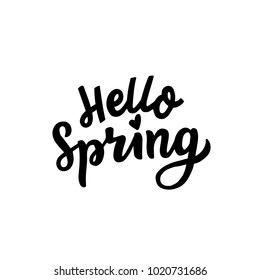 Hand drawn lettering hello spring for print card, poster. Vector isolated typography welcome spring.