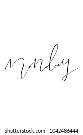 Hand drawn lettering. Ink illustration. Modern brush calligraphy. Isolated on white background. Monday text.