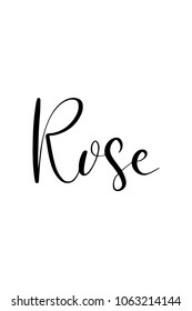 Hand drawn lettering. Ink illustration. Modern brush calligraphy. Isolated on white background. Rose text.