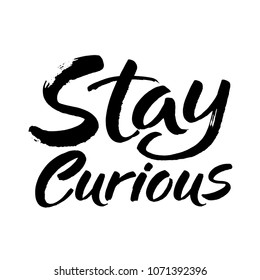 Hand drawn lettering. Ink illustration. Modern brush calligraphy. Isolated on white background. Stay curious. Vector