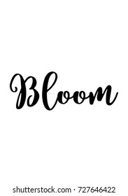 Hand drawn lettering. Ink illustration. Modern brush calligraphy. Isolated on white background. Bloom text.