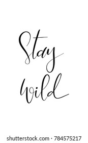 Hand drawn lettering. Ink illustration. Modern brush calligraphy. Isolated on white background. Stay wild.