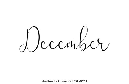 Hand drawn lettering phrase December. Ink brush lettering for winter invitation card. Month December for calendar. Handwritten phrase for banner, flyer, greeting card, calendar. Vector illustration.