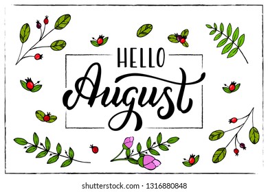 Hand drawn lettering phrase Hello August. Ink brush lettering for summer invitation card. Handwritten phrase Hello August for travel banner, flyer, greeting card and calendar.