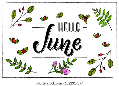 Hand drawn lettering phrase Hello June. Ink brush lettering for summer invitation card. Handwritten phrase Hello June for travel banner, flyer, greeting card and calendar.