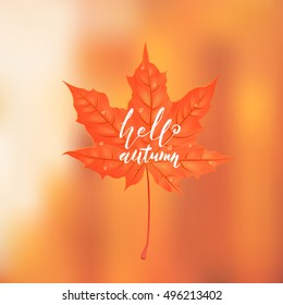 Hand drawn lettering of a phrase Hello autumn. Vector illustration. Blurred background. Creative design template. Shape of maple leaf. 