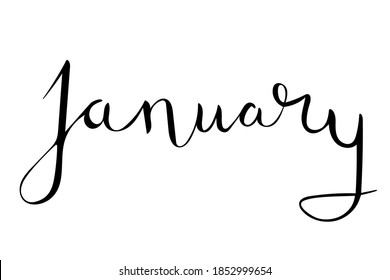 Hand drawn lettering phrase January. Month January for calendar. Ink brush lettering for winter invitation card.