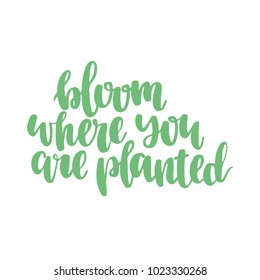 Hand drawn lettering quote - Bloom where you are planted. Modern calligraphy for photo overlay, cards, t-shirts, posters, mugs, etc. Pastel colors
