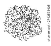 Hand drawn lichen rosette with spotted texture in bold black line art. Useful for nature education, ecology branding, posters, packaging, and coloring.